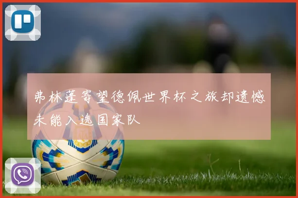 弗林蓬寄望德佩世界杯之旅却遗憾未能入选国家队